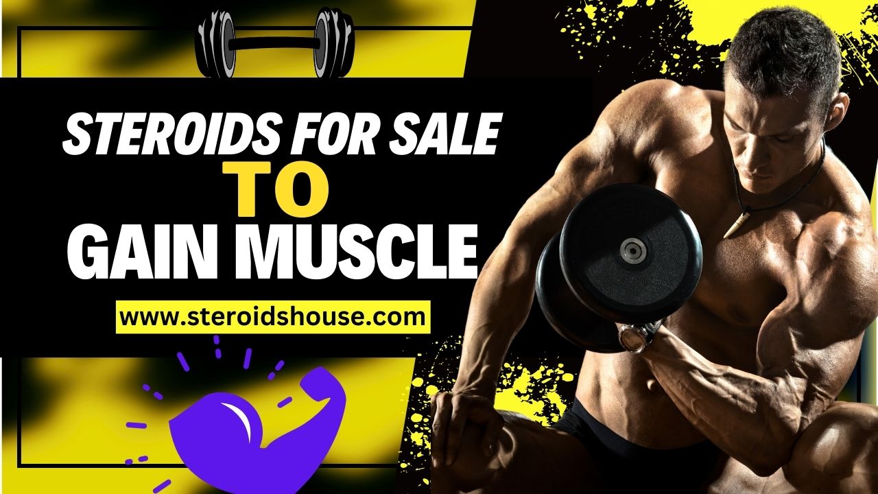 steroids for sale to gain muscle